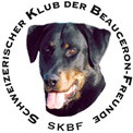 Beauceron, Bossern, Familienhund